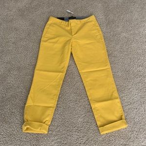 Banana Republic Hampton Pants